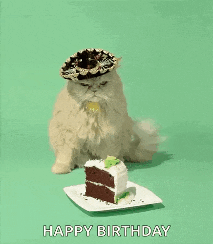 Happy Birthday GIF