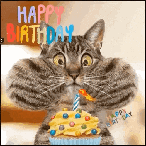 Happy Birthday GIF