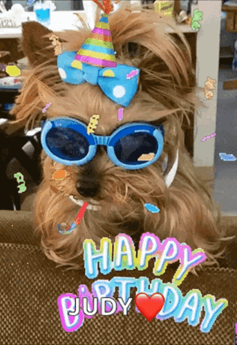 Happy Birthday Party Hat GIF. This 343 x 498 animated GIF is part of our happy birthday puppy collection. Related themes include happy birthday. Created by…