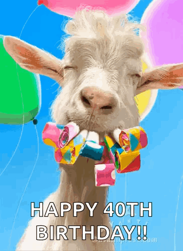 Happy Birthday GIF