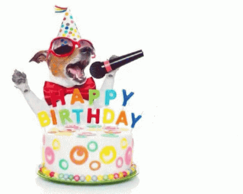 Happy Birthday GIF