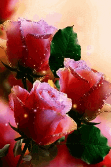 Happy Birthday GIF