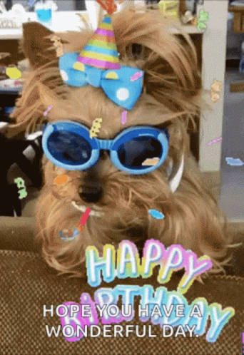 Happy Birthday GIF