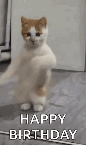 Happy Birthday Sister Happy Birthday GIF