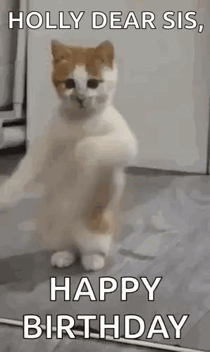 Happy Birthday Sister Happy Birthday GIF. This 298 x 498 animated GIF is part of our happy birthday sister funny collection. Related themes include happy…