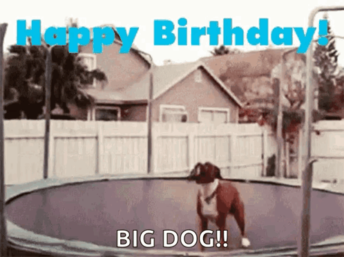 Happy Birthday Trampoline GIF