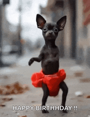 Happy Birthday GIF. This 384 x 498 animated GIF is part of our lustiges gewitter collection. Related themes include happy birthday. Created by Willie2021…