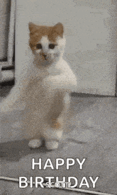 Happy Birthday GIF