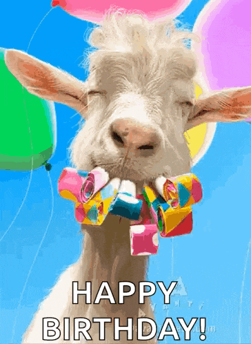 Happy Birthday GIF