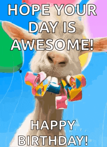 Happy Birthday GIF