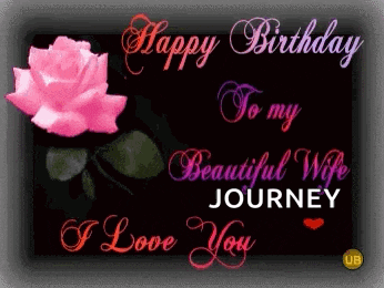 Happy Birthday Wife Ily GIF
