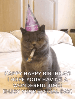 Happy Birthday Wishes GIF