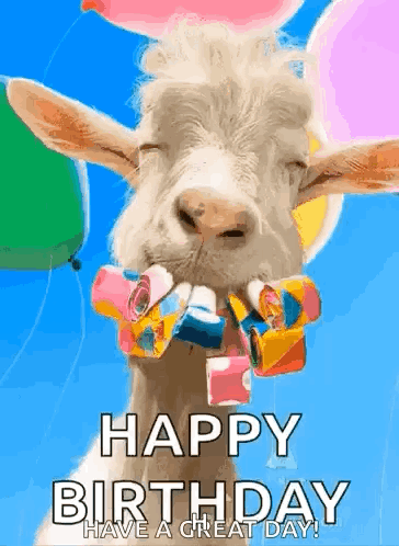 Happy Birthday Wishes GIF
