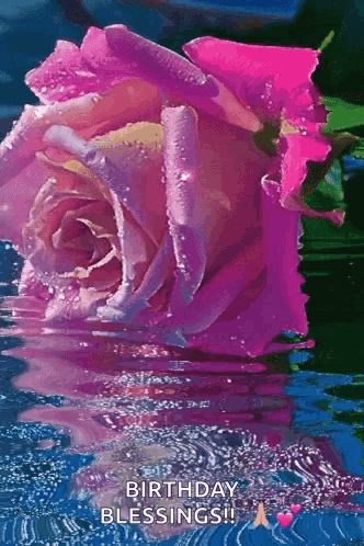 Happy Birthday Wishes Happy Birthday Wishes 2023 GIF