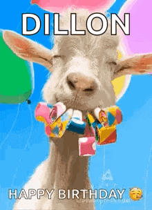 Happy Birthday Wishes Happy Birthday Wishes 2024 GIF