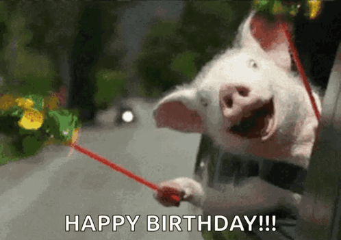 Happy Birthday Wishes Happy Birthday Wishes Funny GIF
