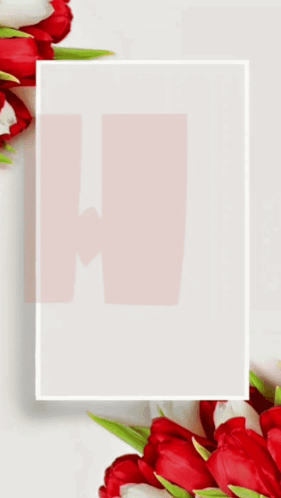 Happy Birthday Wishes Roses For You GIF