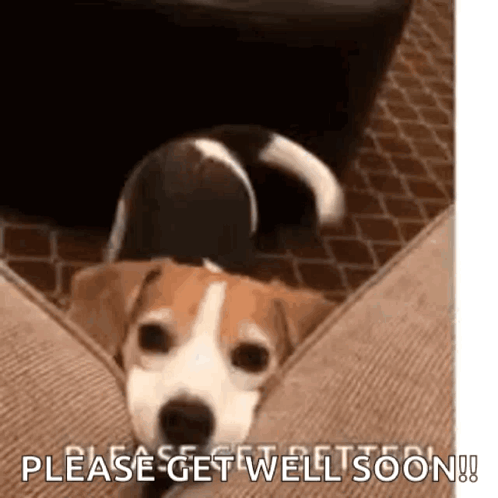 Happy Birthday Wishes GIF. This 498 x 498 animated GIF is part of our get well soon collection. Related themes include happy birthday wishes. Created by…