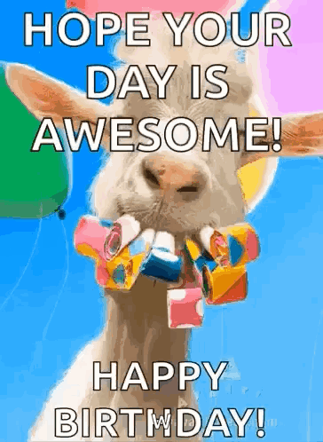 Happy Birthday GIF