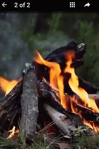 Happy Bogie GIF. This 320 x 480 animated GIF is part of our bhogi wishes collection. Related themes include happy. View the original animation, share it, or…