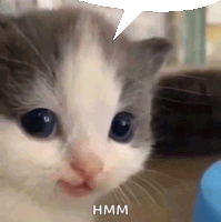 Happy Cat Chat Bubble Sticker