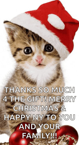 Happy Christmas Meme