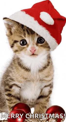 Happy Christmas Meme