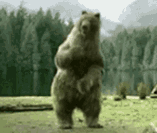 Happy Dance GIF