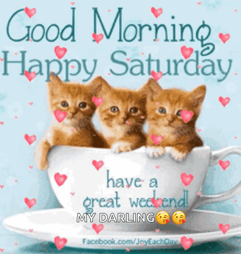Happy Day GIF