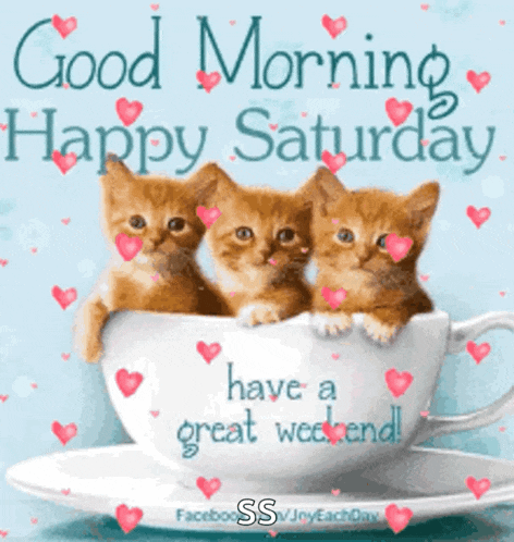 Happy Day GIF