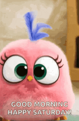 Happy Day GIF