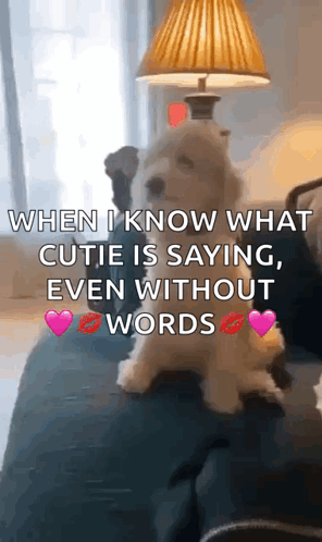 Happy Dog Good Boy GIF