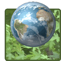 Happy Earth Day Save Earth Sticker