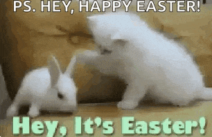 Happy Easter Cute GIF