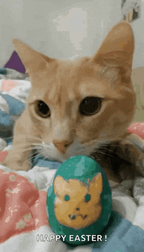 Happy Easter Images2022 Cute Cat GIF
