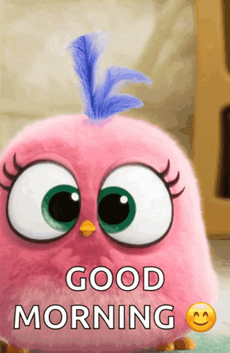 Happy Excited GIF