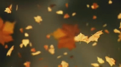 Happy Fall First Day Of Fall GIF