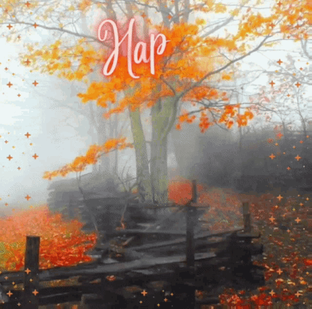 Happy Fall First Day Of Fall GIF