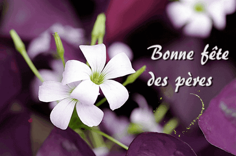Happy Father'S Day Bonne Fête Des Pères GIF