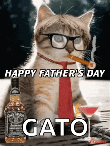 Happy Fathers Day Cat GIF