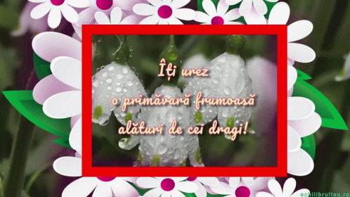 Happy First Day Of Spring Happy Spring GIF. This 498 x 280 animated GIF is part of our martisor collection. Related themes include spring. Created by…