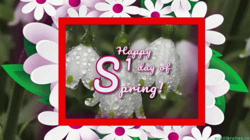 Happy First Day Of Spring Happy Spring GIF. This 498 x 280 animated GIF is part of our martisor collection. Related themes include spring. Created by…