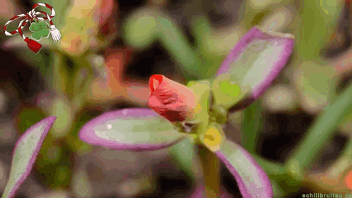 Happy First Day Of Spring Happy Spring GIF. This 498 x 281 animated GIF is part of our martisor collection. Related themes include spring. Created by…
