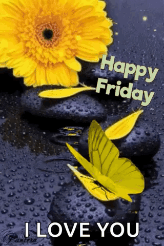 Happy Friday GIF