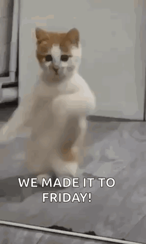 Happy Friday GIF