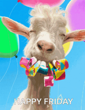 Happy Friday Goat Meme