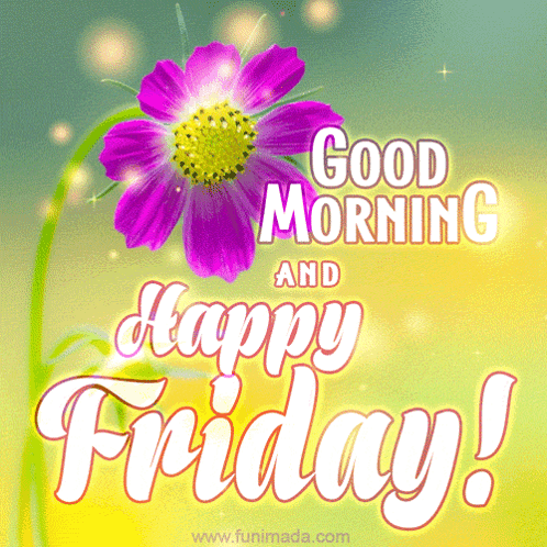 Happy Friday GIF