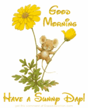 Happy Good Morning GIF