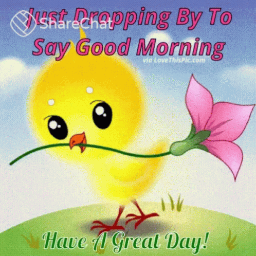 Happy Good Morning GIF