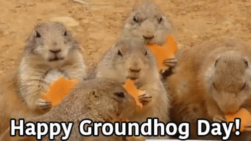 Happy Groundhog Day GIF